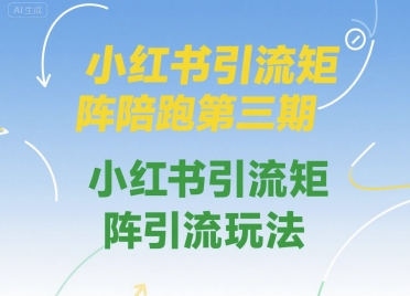 小红书引流矩阵陪跑第三期，小红书引流矩阵引流玩法-驿想项目网