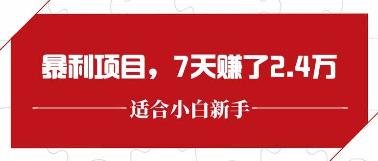 （15228期）最新暴利项目，每单收益轻松在300以上，7天赚了2.4万-驿想项目网