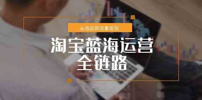 淘宝蓝海运营全链路，从选品到流量变现，小类目突围完整方案-驿想项目网