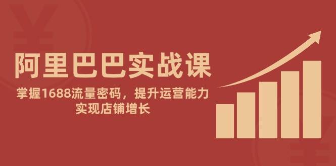 （14830期）阿里巴巴实战课：掌握1688流量密码，提升运营能力，实现店铺增长-驿想项目网
