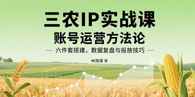 （15864期）三农IP实战课：账号运营方法论，六件套搭建，数据复盘与投放技巧-驿想项目网