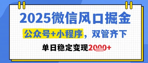 2025微信风口掘金，公众号+小程序双管齐下，单日稳定变现1k+【揭秘】-驿想项目网