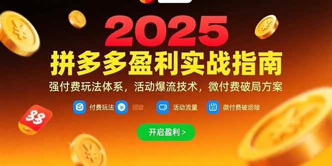 （15357期）拼多多盈利实战指南，强付费玩法，活动爆流技术，微付费破局方案(更新7月)-驿想项目网