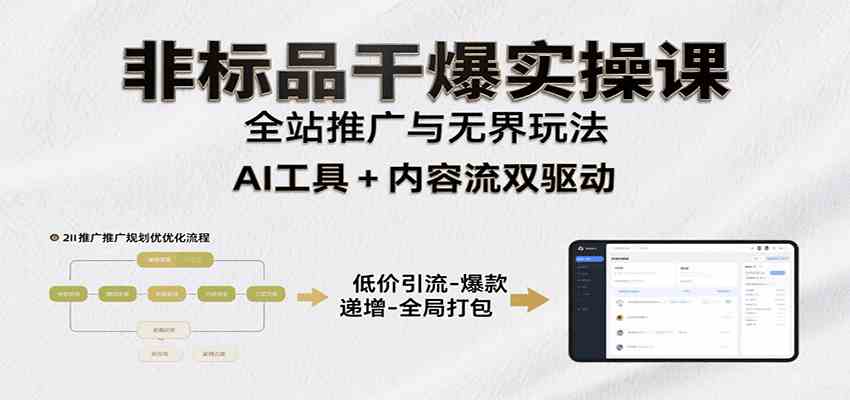 非标品干爆实操课：含多案例及操盘方法，从选品到推广、成交，助力打造爆款实现盈利-驿想项目网