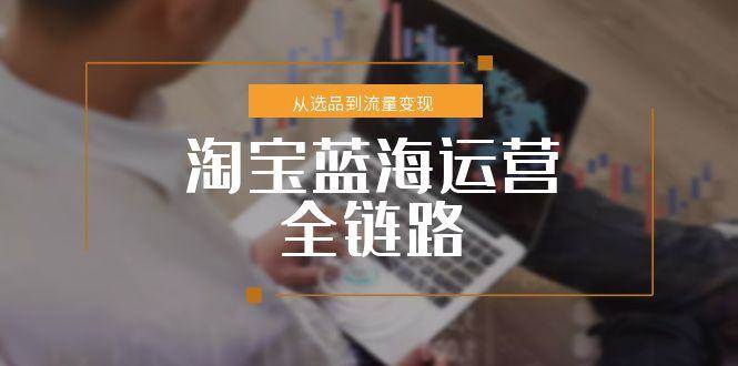 （15160期）淘宝蓝海运营全链路，从选品到流量变现，小类目突围完整方案-驿想项目网