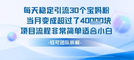 每天稳定引流30个人 当月变成超过了4个W项目流程非常简单适合小白-驿想项目网