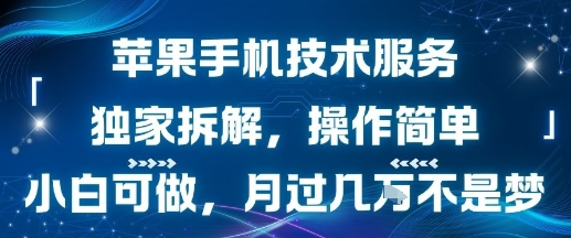 苹果手机技术服务，独家拆解，操作简单，小白可做，月过1W不是梦-驿想项目网