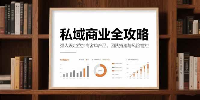 （15294期）私域商业全攻略，强人设定位加高客单产品，团队搭建与风险管控-驿想项目网