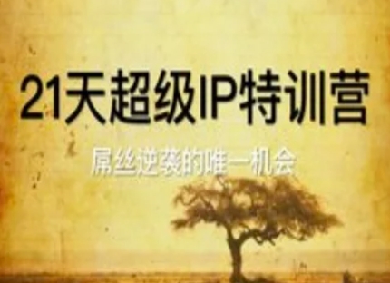 21天超级IP特训营，屌丝逆袭的唯一机会-驿想项目网
