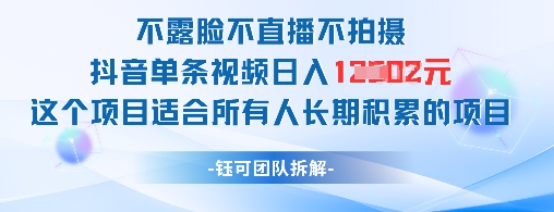 不露脸不直播不拍摄抖音单条视频日入1k+这个项目适合所有人长期积累的项目-驿想项目网