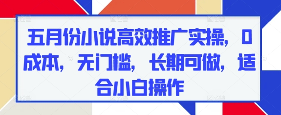 五月份小说高效推广实操，0成本，无门槛，长期可做，适合小白操作-驿想项目网