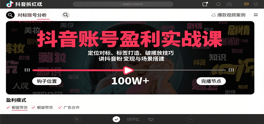 抖音账号盈利实战课，定位对标、标签打造、破播放技巧，讲涨粉变现与场景搭建-驿想项目网