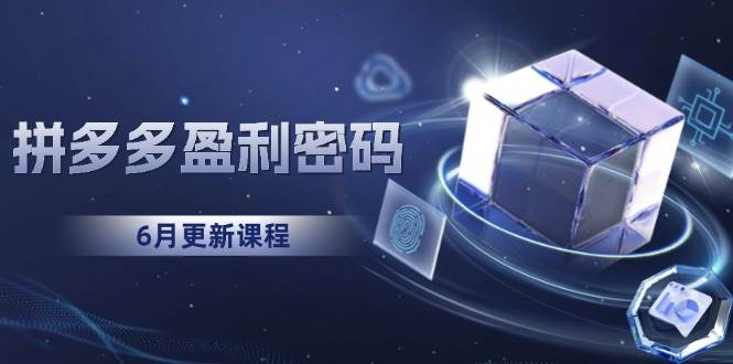 （15005期）拼多多盈利密码：从烧钱推广到印钞模型，底层逻辑重构指南（6月更新）-驿想项目网