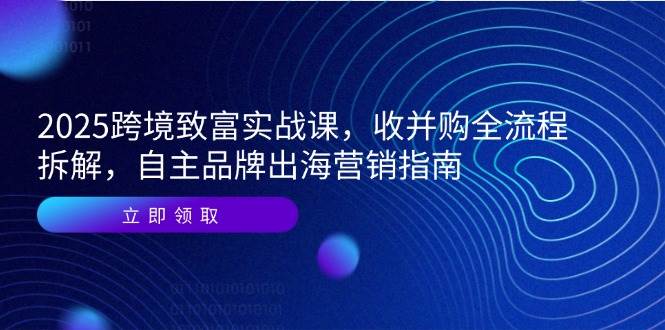 （14975期）2025跨境致富实战课，收并购全流程拆解，自主品牌出海营销指南-驿想项目网