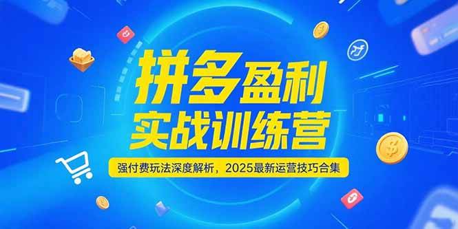 （15183期）拼多多盈利实战训练营，强付费玩法深度解析，2025最新运营技巧合集-驿想项目网