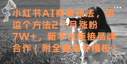 小红书AI商单玩法，用这个方法2个月涨粉7W+，新手也能接品牌合作(附全套指令模板)-驿想项目网