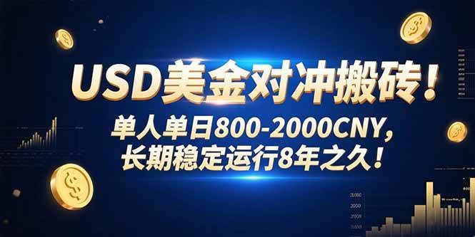 （15551期）USD美金对冲搬砖!单人单日800-2000CNY，长期稳定运行8年之久!-驿想项目网