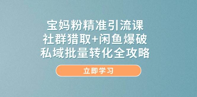 宝妈粉精准引流课，社群猎取+闲鱼爆破，私域批量转化全攻略-驿想项目网