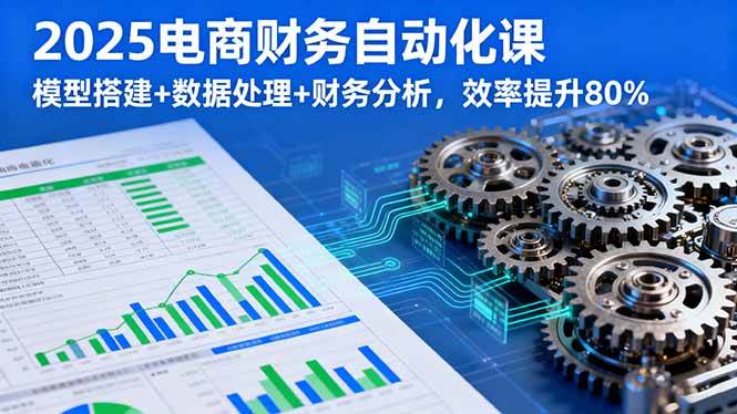 （16021期）2025电商财务自动化课，模型搭建+数据处理+财务分析，效率提升80%-驿想项目网