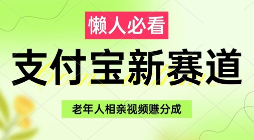 支付宝新赛道，利用老年人相亲视频，挣分成收益，轻松月入过W，操作简单-驿想项目网