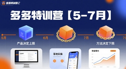 多多特训营【5-7月】产品决定上限，方法决定下限，各种玩法技巧落地实操-驿想项目网