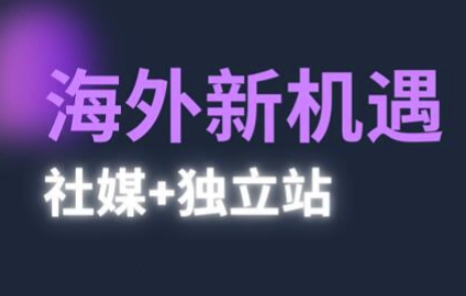 2025出海新机遇(社媒+独立站)，海外新机遇，实现独立站的高效运营与出海-驿想项目网