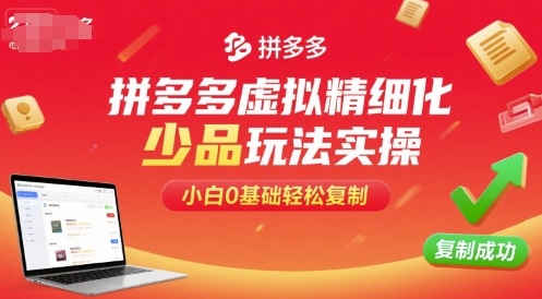 拼多多虚拟精细化少品玩法实操，小白0基础轻松复制-驿想项目网