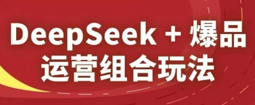 DeepSeek+爆品运营组合玩法，2025淘系精品课-驿想项目网