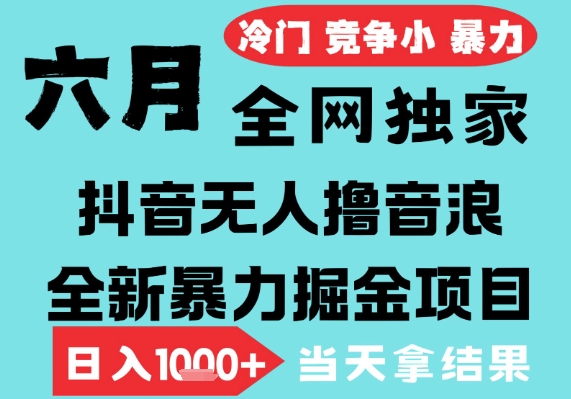 2025年6月高爆抖音无人直播最新撸音浪掘金项目，无脑日入1k+，低门槛小白可做，可矩阵放大【揭秘】-驿想项目网