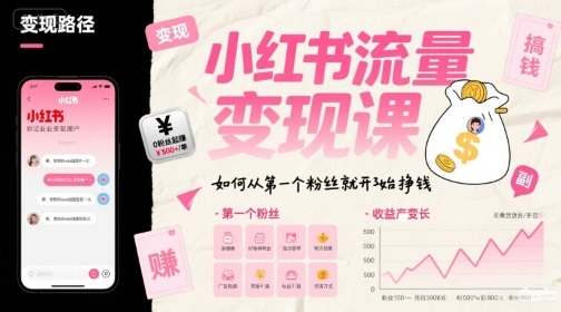 小红书流量变现课，如何从第一个粉丝就开始挣钱-驿想项目网