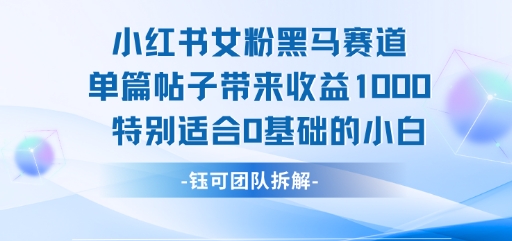小红书女粉黑马赛道单篇帖子带来收益1k+，特别适合0基础的小白-驿想项目网