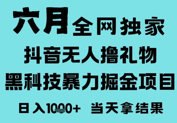25年6月高爆抖音无人直播最新撸音浪掘金项目，门槛低小白可做，无脑日入1k，可矩阵放大【揭秘】-驿想项目网