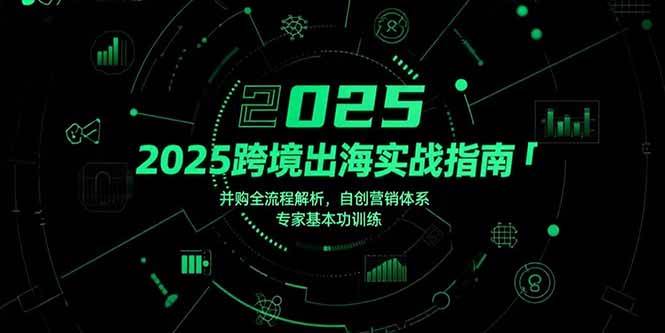 （15503期）2025跨境出海实战指南，并购全流程解析，自创营销体系，专家基本功训练-驿想项目网