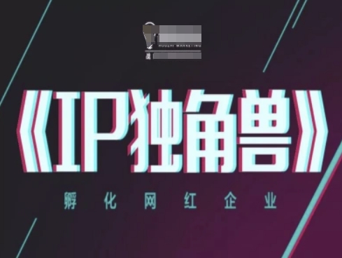 IP独角兽，孵化网红企业，ip教程-驿想项目网
