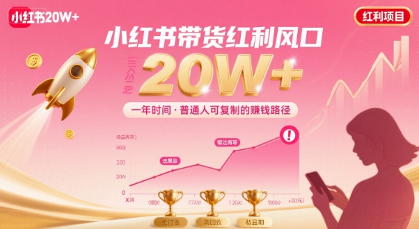 一年时间靠小红书带货项目年入20w+，最不能错的大红利项目-驿想项目网