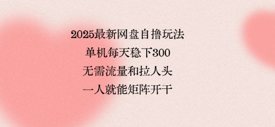2025最新网盘自撸玩法，单机每天稳下3张，无需流量和拉人头，一个人就可轻松矩阵，全网独一份【揭秘】-驿想项目网