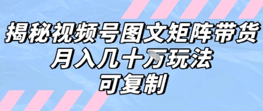 解密视频号图文矩阵带货，月入几个W的打法，可复制-驿想项目网