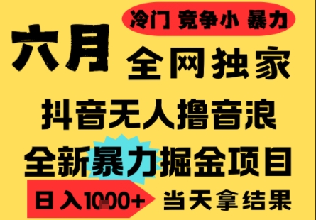 25年6月高爆抖音无人直播最新撸音浪掘金项目，小白可做，无脑日入1k+，门槛低可批量矩阵【揭秘】-驿想项目网