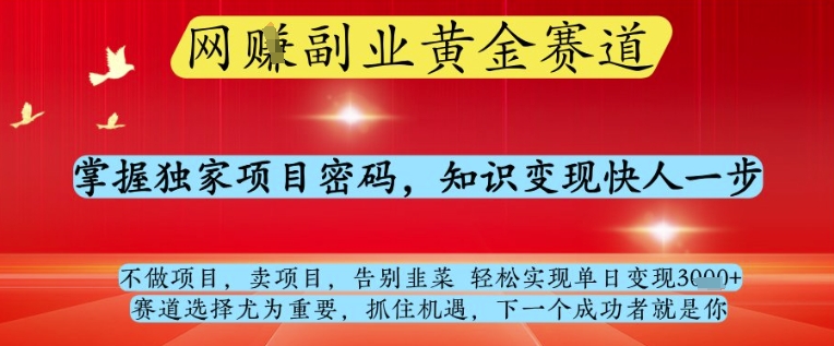 网创副业黄全赛道，掌握独家项目密码，知识变现快人一步，告别韭菜轻松实现单日变现1k+【揭秘】-驿想项目网