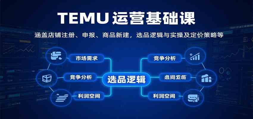 TEMU运营基础课：涵盖店铺注册、申报、商品新建，选品逻辑与实操及定价策略等-驿想项目网