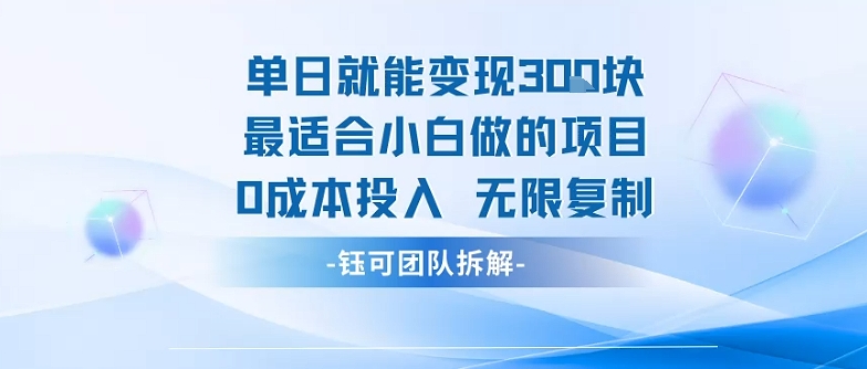 单日就能变现3张最适合小白做的项目0成本投入 无限复制-驿想项目网