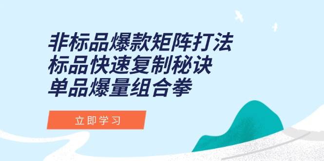 （15068期）非标品爆款矩阵打法，标品快速复制秘诀，单品爆量组合拳-驿想项目网
