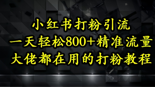 小红书打粉引流，一天轻松500+精准流量，大佬都在用的打粉教程-驿想项目网