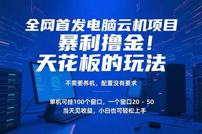 （15323期）电脑云机项目 暴力撸金玩法，不需要养机 配置没有要求 单机100个窗口一…-驿想项目网