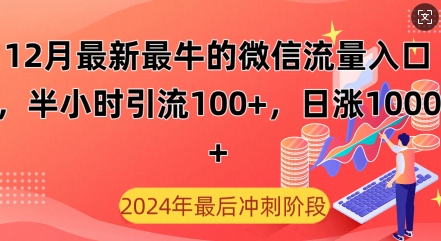 12月最新最牛的微信流量入口，半小时引流100+创业粉，日涨粉1000+-驿想项目网