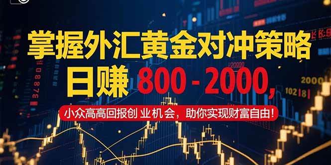 （15198期）掌握外汇黄金对冲策略，日赚 800 – 2000，小众高回报创业机会，助你实…-驿想项目网