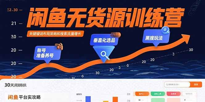 （15698期）闲鱼无货源训练营：账号准备养号/垂直化选品/黑搜玩法，0基础30天盈利指南-驿想项目网