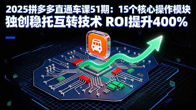 （16020期）2025拼多多直通车课51期：15个核心操作模块 独创稳托互转技术 ROI提升400%-驿想项目网