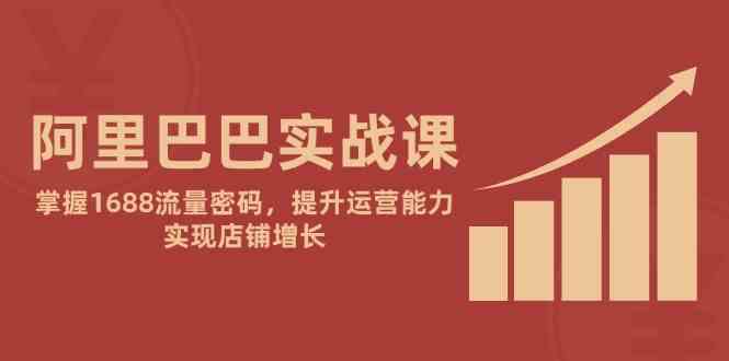 阿里巴巴实战课：掌握1688流量密码，提升运营能力，实现店铺增长-驿想项目网
