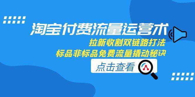 （15135期）淘宝付费流量运营术，拉新收割双链路打法，标品非标品免费流量撬动秘诀-驿想项目网